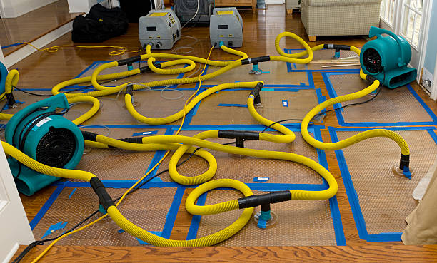 Professional Sewage Cleanup technician working in Cecil, WI